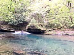 -黎坪国家森林公园