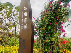 -芒洲湿地公园