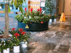 -大鸭梨烤鸭(枣园店)