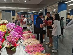 -盒马X会员店(王府井奥莱UP TOWN店)
