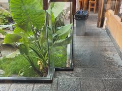 -阿婆情腊排骨火锅·野生菌季(古城旗舰店)