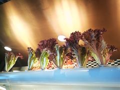 -西安浐灞艾美酒店·汉江餐厅·火锅