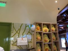 -油梨树AVOCADO TREE(嘉里中心店)