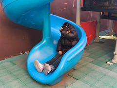 -京师双语幼儿园