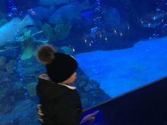 -成都浩海立方海洋公园