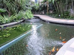 -武吉知马自然保护区