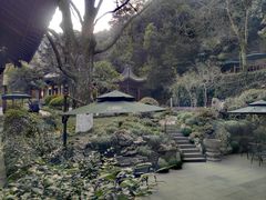 -十八棵（老龙井）御茶园(老龙井店)