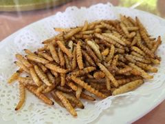 -天强农家菜馆