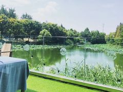 -千叶寿司创意融合料理(水韵城店)