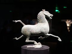 -甘肃省博物馆