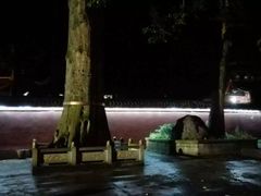 -峨眉山报国寺