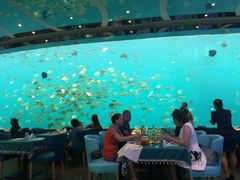 -瑞德姆美人鱼海底演艺主题餐厅(亚龙湾店)