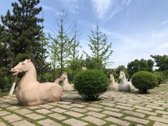-鹦鹉寺公园