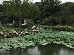 -亭林园-华藏寺