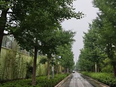 -春满园生态餐厅(南宫路店)
