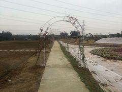 -紫颐香薰山谷景区