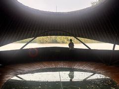 -大湾区中央湿地公园
