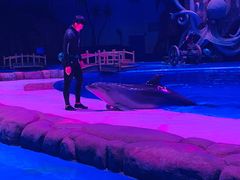 -华夏文旅海洋公园