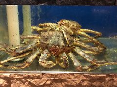 -鱼乐轩海鲜专门店
