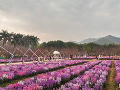 -盈香心动乐园