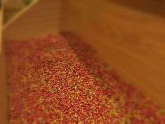 -炖物24章·顺时轻养茶(杭州保利时光里店)
