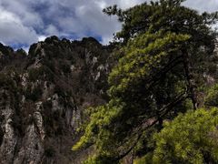 -王顺山国家森林公园