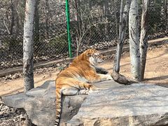 -济南野生动物世界