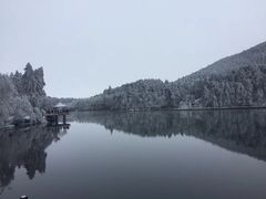 -庐山风景区花径公园