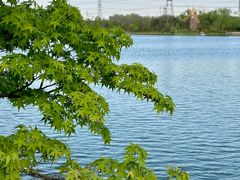 -昆山城市生态森林公园