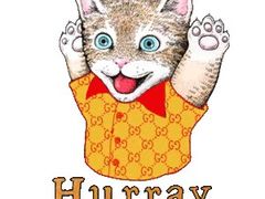 -Gucci(重庆IFS店)