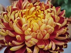 -陶然亭公园南门停车场