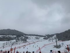-太子岭滑雪场
