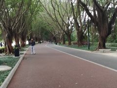 -南宁南湖公园