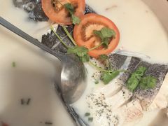 -全乐鱼馆·淳牌有机鱼直营店