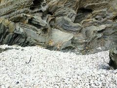 发现一片非常特别的贝壳滩-大连金石滩滨海国家地质公园