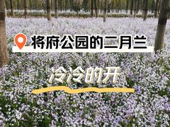 -将府公园