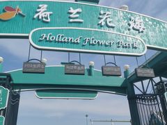 -荷兰花海