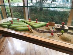 -雪绿茶博物馆