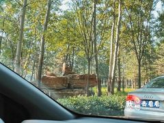 -秦皇岛野生动物园