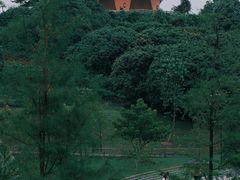 -东莞植物园