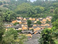 -杨家堂村