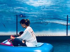 -蒙特利亲子乐园