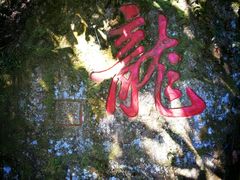 -十八棵（老龙井）御茶园(老龙井店)