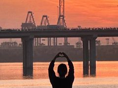 -宝安西湾红树林湿地公园