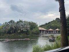 -广州都喜泰丽温泉度假酒店