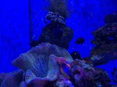 -多彩贵州城极地海洋世界