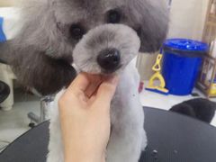 -多卡布奇宠物生活馆(上林世家店)