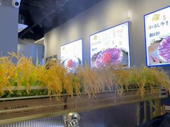 -小肥牛潮汕牛肉火锅(南联店)