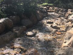 景点-水池山公园