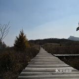 把车开上百花山